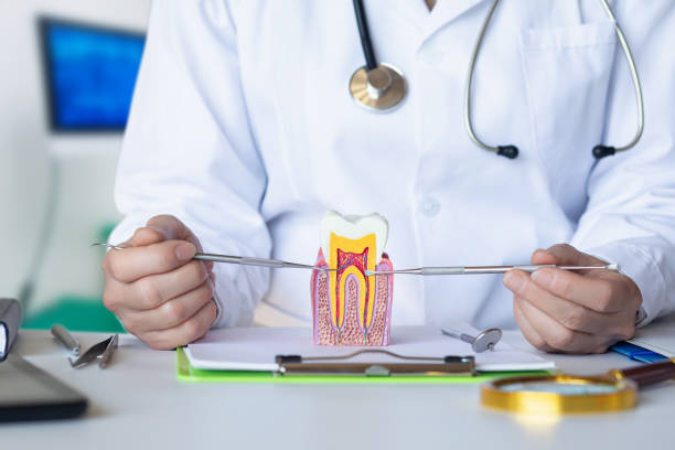 Best Emergency TMJ Treatment in Camas, WA